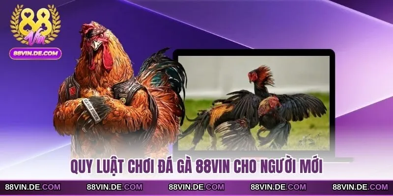 Quy luật chơi đá gà 88VIN cho người mới